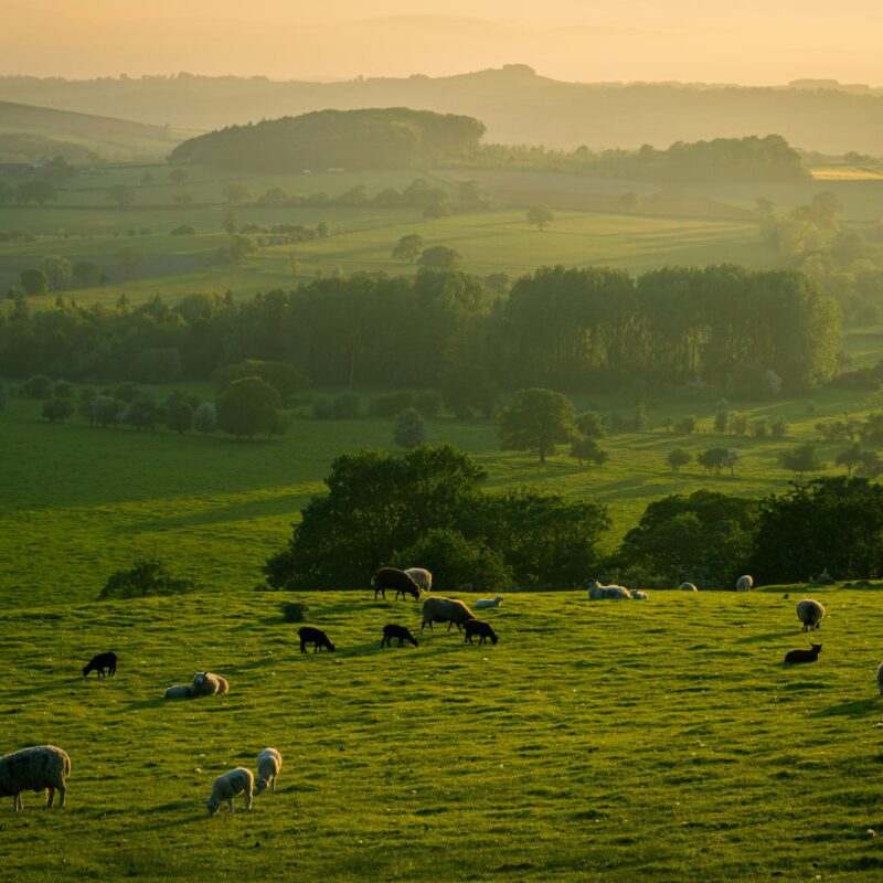 Yorkshire dales at morning sunlight